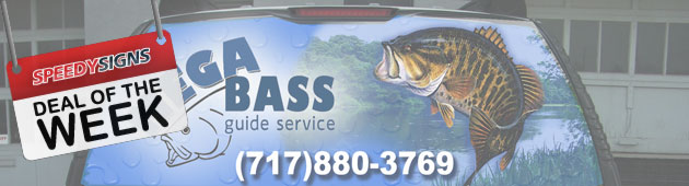 Deal Of The Week 4/30/2012 - 50% Off Rear Window Graphics