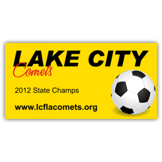 Lake City Comets Soccer Team