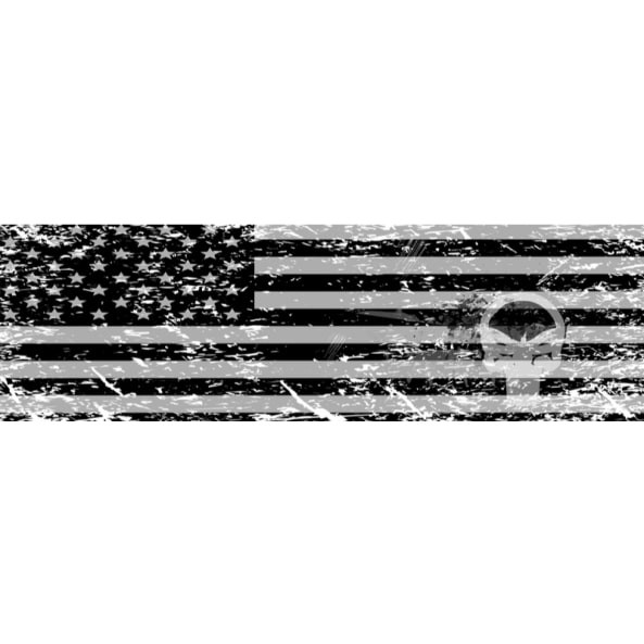Black and White US Flag