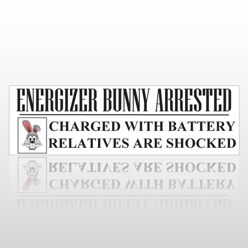 Energizer 256 Bumper Sticker