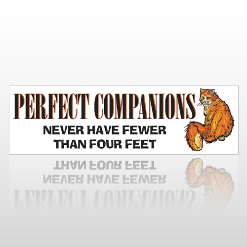 Perfect Feet 194 Bumper Sticker