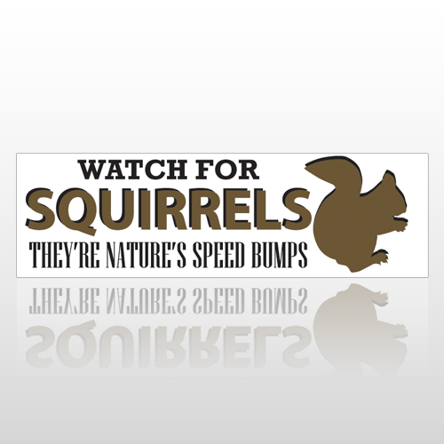 Squirrel Bumps 246 Bumper Sticker