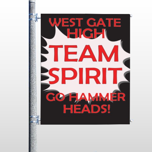Team 43 Pole Banner