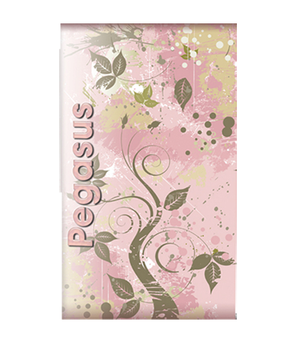 Pegasus 48"H X 52.5"W Heavy Weight Banner 