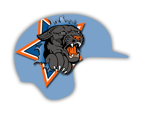 Floor  Decal 12"H x 16"W Baseball Helmet