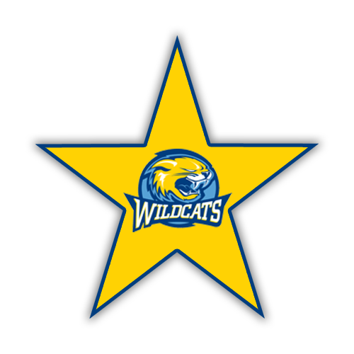 Floor  Decal 24"W x 24"H Star