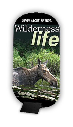 Wedge DD-Shaped Sign Kit 3mm Rigid 36"W x 72"H