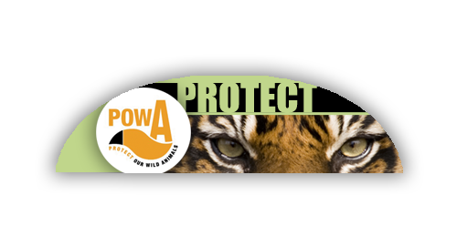 Voyager Long Header Curved 3mm PVC 8.625"H x 30.625"W