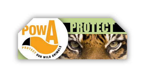 Voyager Short Header Octagon 3mm PVC 8.625"H x 22.625"W 