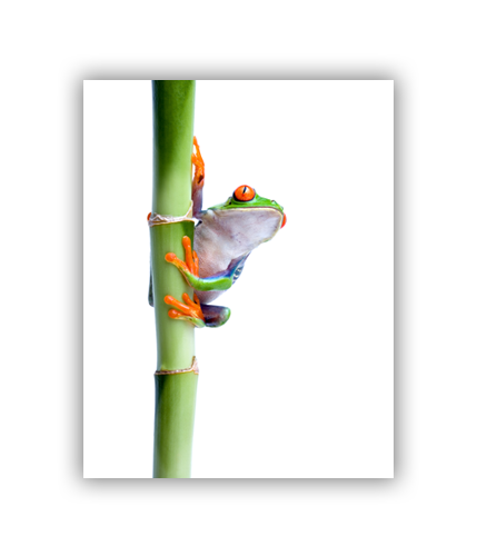 Trappa 2-5 Snap-Edge 100# Text Gloss Poster 20"W x 24"H