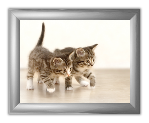 Trappa 2-8 Snap-Edge Poster Frame Kit with Graphics 24"H x 30"W