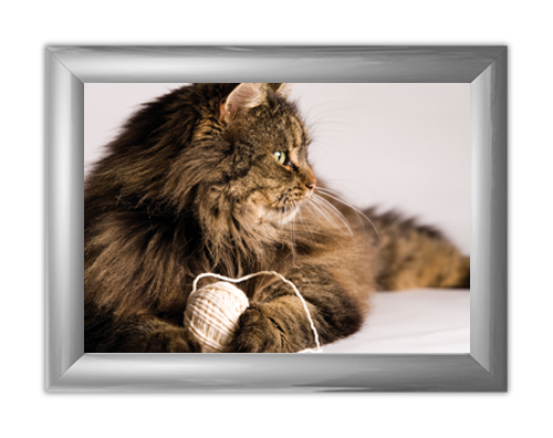 Trappa 2-9 Snap-Edge Poster Frame Kit with Graphics 30"H x 40"W