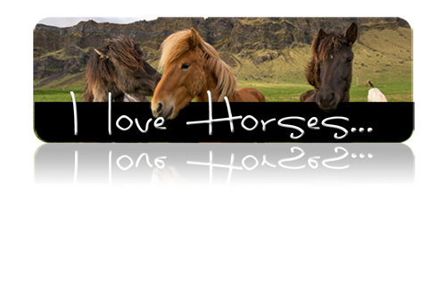 Corrugated Plastic 6"H x 24"W Custom Sign