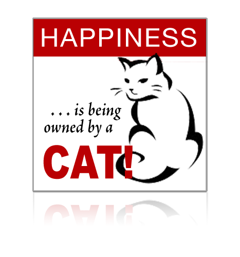 POLY 48"H x 48"W Custom Sign