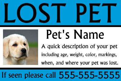 Lost Pet w/ Blue Bars