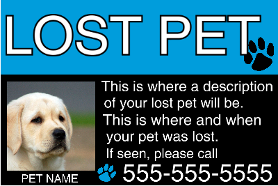 Basic Lost Pet - Blue