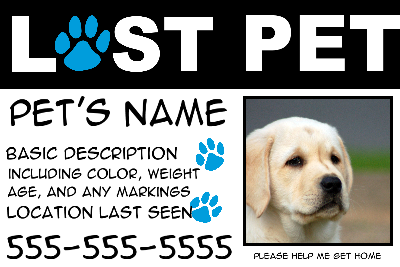Lost Pet Blue Paws
