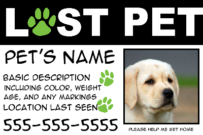 Lost Pet Green Paws