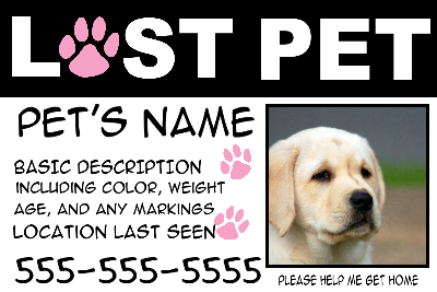 Lost Pet Pink Paws