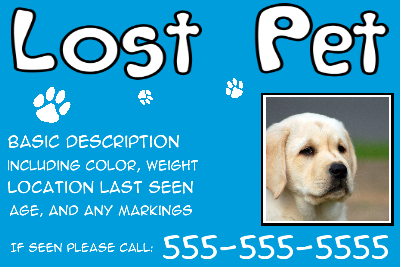 Lost Pet Solid Blue