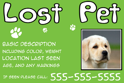 Lost Pet Solid Green