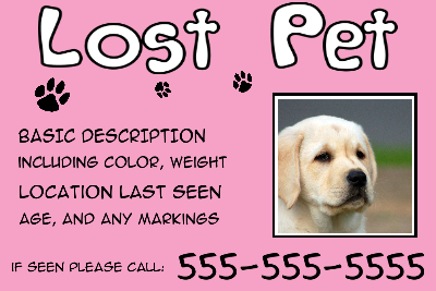Lost Pet Solid Pink