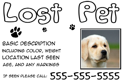 Lost Pet Solid White