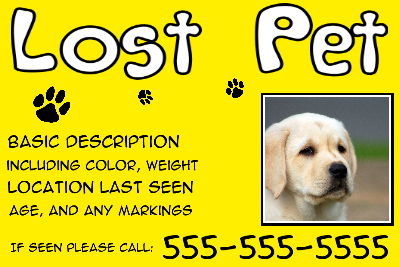 Lost Pet Solid Yellow