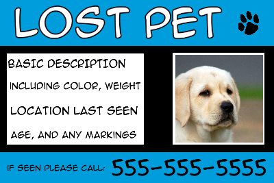 Lost Pet w/ Text Box - Black/Blue