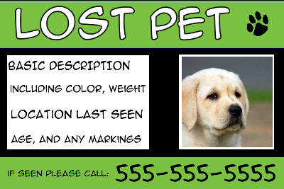 Lost Pet w/ Text Box - Black/Green