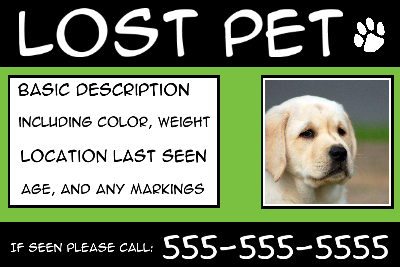 Lost Pet w/ Text Box - Green