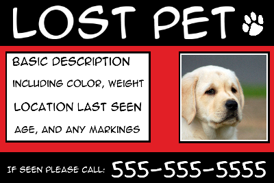 Lost Pet w/ Text Box - Red