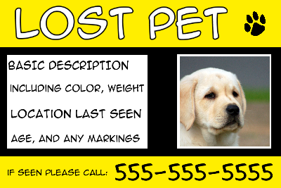 Lost Pet w/ Text Box - Black/Yellow