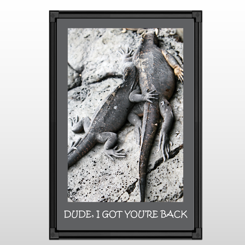Dude 14 Light Box