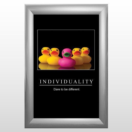Ducks 14 Poster