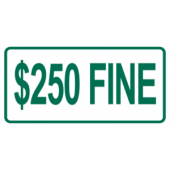 $250 Fine
