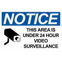 Surveillance Camera - Blue