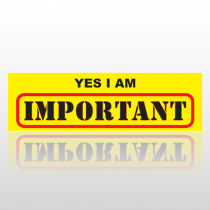 Important 40 Bumper Sticker