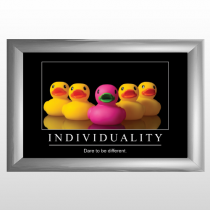 Ducks 14 Poster